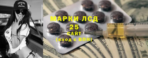 apvp Горнозаводск
