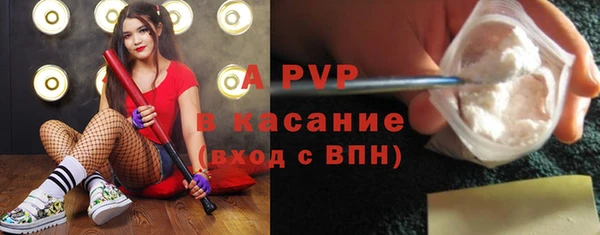 apvp Горнозаводск