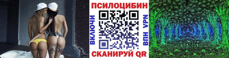 Купить где  Туринск  Псилоцибиновые грибы Psilocybe 